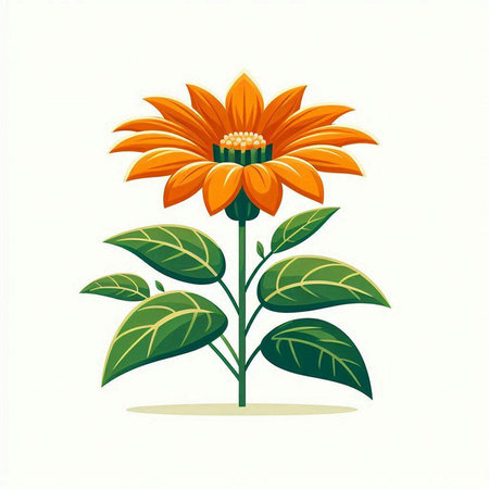 Illustration of a sunflower on a white background, vector illustrationのイラスト素材