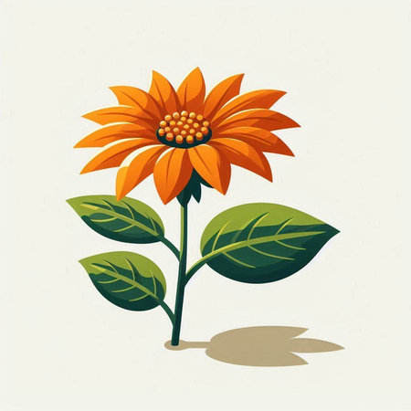 Beautiful orange sunflower on a white background. Vector illustration.のイラスト素材