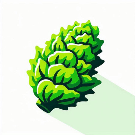 Illustration of a green lettuce on a white background with a shadowのイラスト素材