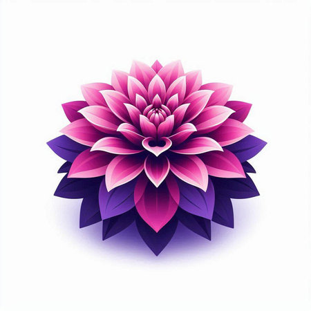 Illustration of pink and purple dahlia flower on white backgroundのイラスト素材