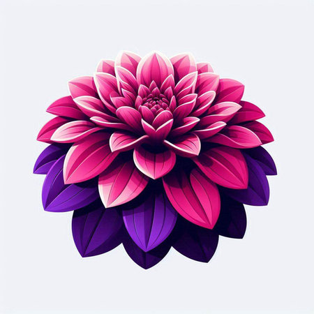 Pink dahlia flower on a white background. Vector illustration.のイラスト素材