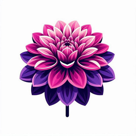 Vector illustration of pink dahlia flower isolated on white background.のイラスト素材