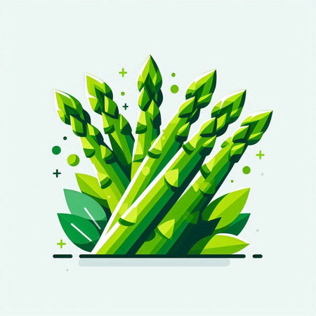 Green asparagus vector illustration. Vegetarian healthy food icon.のイラスト素材
