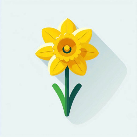 Flower narcissus. Vector illustration of a yellow daffodil.のイラスト素材