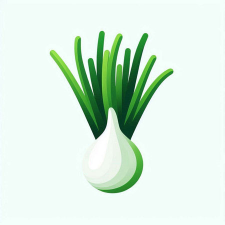 Vector illustration of fresh green onion on white background. Flat style.のイラスト素材