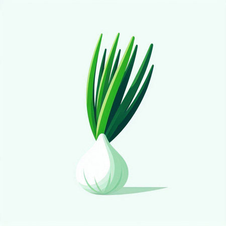 Illustration of fresh green onion on white background. Vector illustration.のイラスト素材
