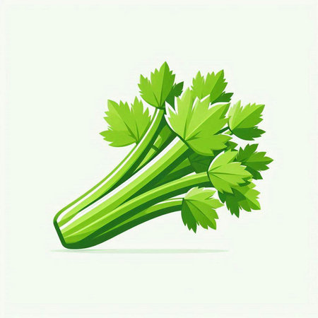 Celery on a white background. Vector illustration. Eps 10のイラスト素材