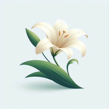 White lily with green leaves on blue background. Vector illustration.のイラスト素材