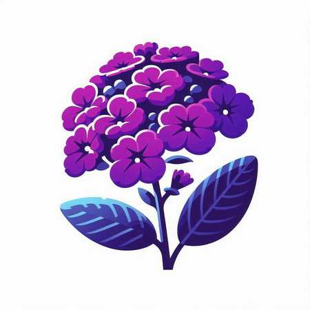 Purple hydrangea flower isolated on white background. Vector illustration.のイラスト素材