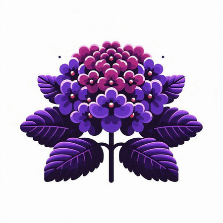 Illustration of a hydrangea flower on a white backgroundのイラスト素材