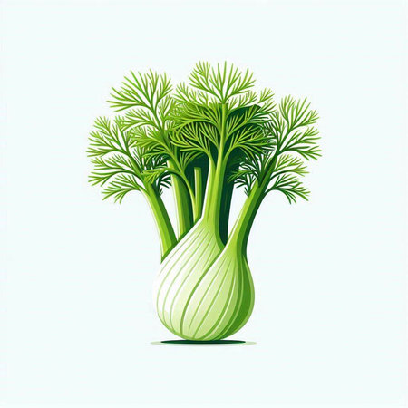 Vector illustration of fresh green fennel on a white background.のイラスト素材