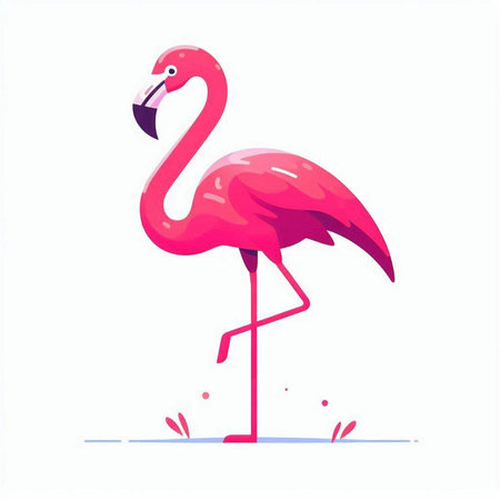 Pink flamingo isolated on white background. Vector illustration in flat style.のイラスト素材