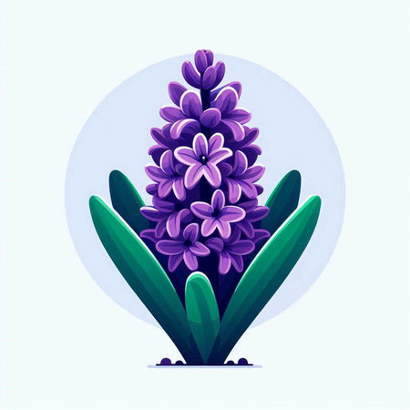 Purple hyacinth flower. Vector illustration in cartoon style.のイラスト素材