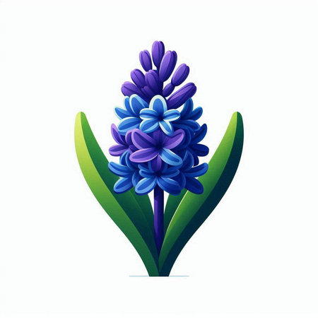 Blue hyacinth flower isolated on white background. Vector illustration.のイラスト素材