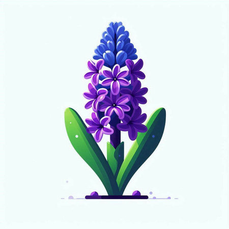 Blue hyacinth isolated on white background. Flat vector illustration.のイラスト素材