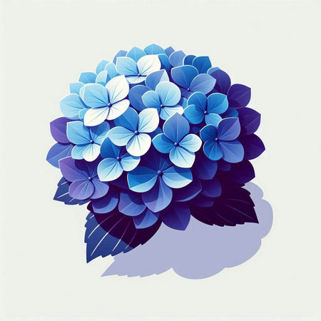 blue hydrangea on a white background. Vector illustration.のイラスト素材