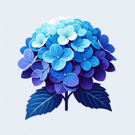 Hydrangea flower vector illustration. Blue Hydrangea flower.のイラスト素材