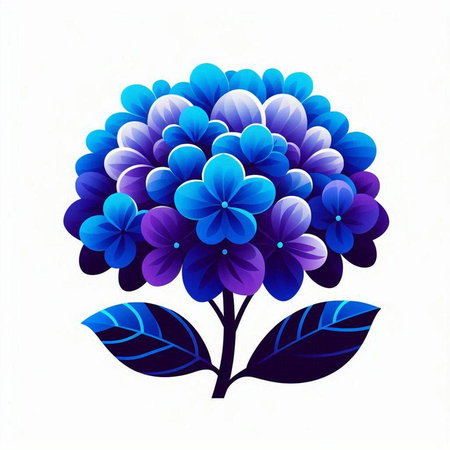 Blue hydrangea on a white background. Vector illustration.のイラスト素材