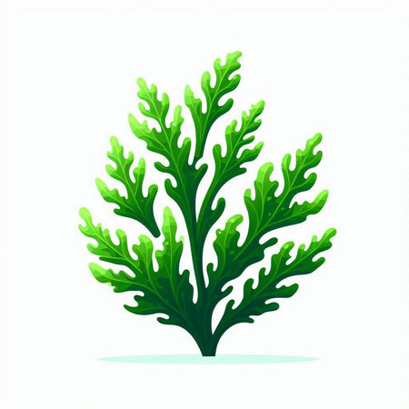 Green seaweed isolated on a white background. Vector illustration for your designのイラスト素材