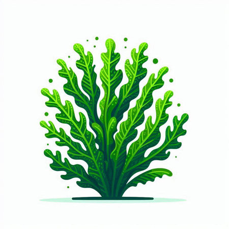 Green seaweed isolated on white background. Vector illustration for your designのイラスト素材