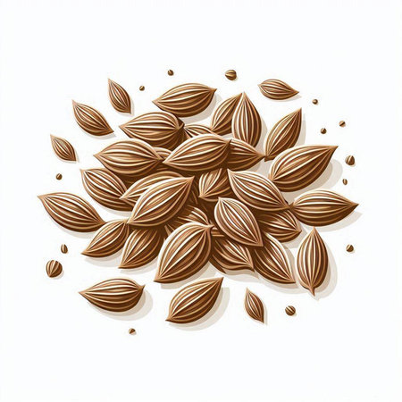 Cardamom seeds isolated on white background. Vector illustration. Eps 10.