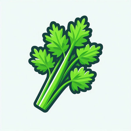 Celery icon. Vector illustration. Isolated on white background.のイラスト素材