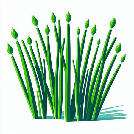 Vector illustration of a bunch of green onions on a white background.のイラスト素材