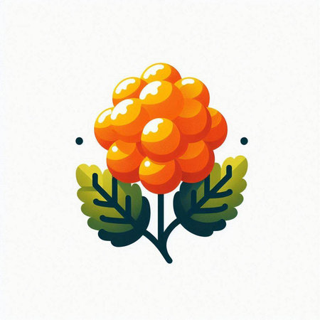 Vector illustration of a rowan with leaves on a white background.のイラスト素材