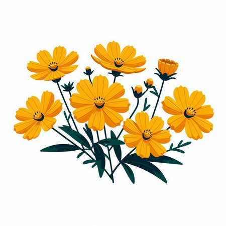 Yellow cosmos flower isolated on white background. Hand drawn vector illustration.のイラスト素材