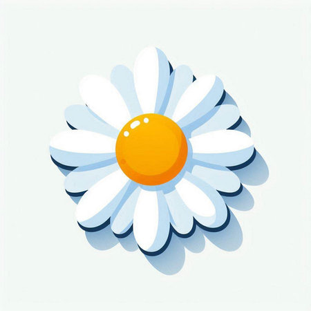 Illustration of a daisy on a blue background, vector illustrationのイラスト素材
