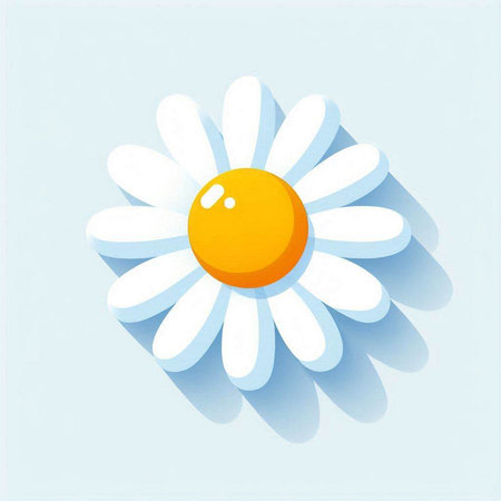 White daisy flower on a light blue background. Vector illustration.のイラスト素材