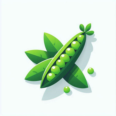 Green peas with leaves on a white background. Vector illustration. Eps 10のイラスト素材