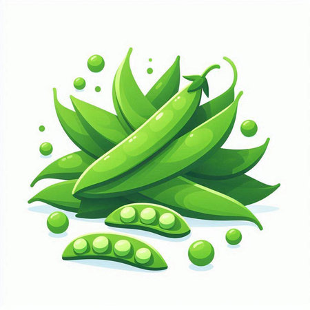 Fresh green peas isolated on white background. Vector illustration in cartoon style.のイラスト素材