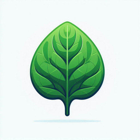 Illustration of a green leaf, isolated on a white background.のイラスト素材