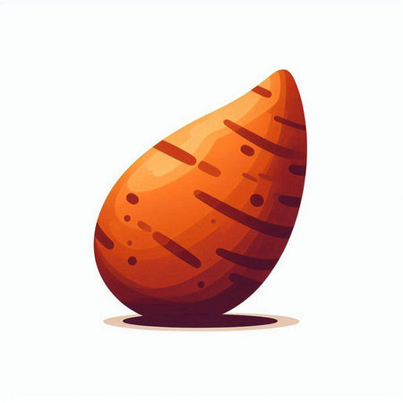 Sweet potato vector illustration isolated on white background. Sweet potato icon.のイラスト素材