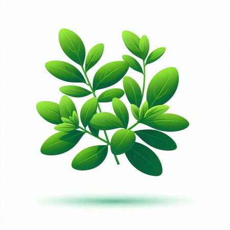 Branch of green leaves on a white background. Vector illustration.のイラスト素材