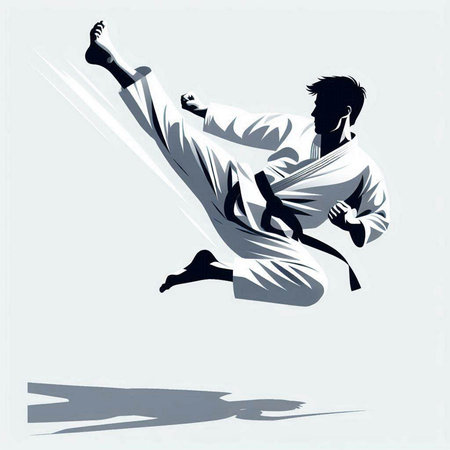 karate fighter in action, vector illustration, no transparency, no gradientsのイラスト素材