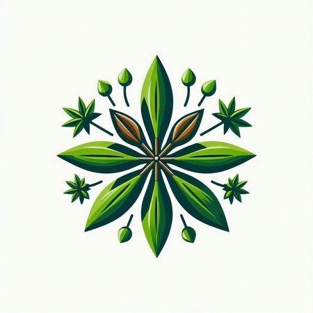 Illustration of a green star anise with leaves on a white backgroundのイラスト素材