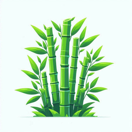 Green bamboo plant with leaves isolated on white background. Vector illustration.のイラスト素材
