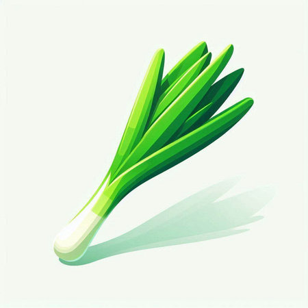 Illustration of a fresh green onion on a white background - vectorのイラスト素材