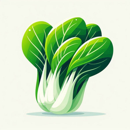 Bok choy vector illustration. Vegetable icon. Healthy food.のイラスト素材