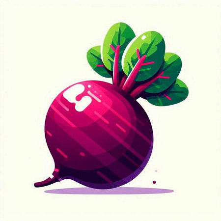 Beetroot vegetable vector illustration. Vegetarian healthy food icon.のイラスト素材