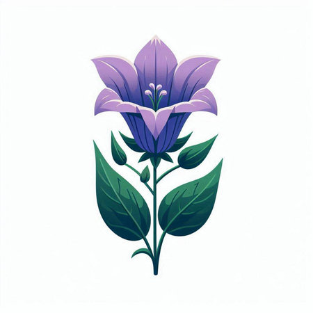 Beautiful blue bellflower isolated on white background. Vector illustration.のイラスト素材