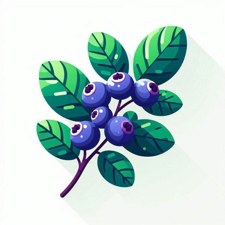 Blueberry branch with berries and leaves isolated on white background. Vector illustration.のイラスト素材