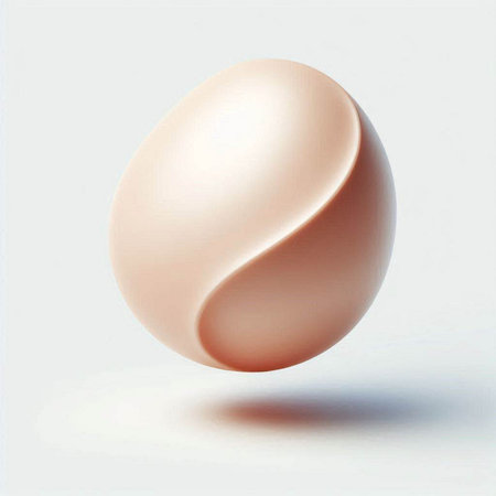 Illustration of an egg on a white background with shadow and reflectionのイラスト素材