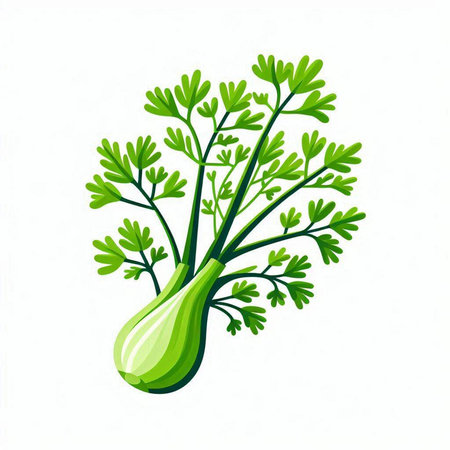 Vector illustration of fresh dill. Isolated on white background.のイラスト素材