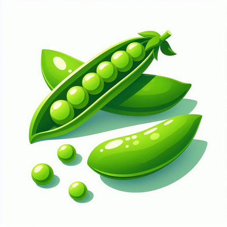 Fresh green peas on white background. Vector illustration. Eps 10.のイラスト素材