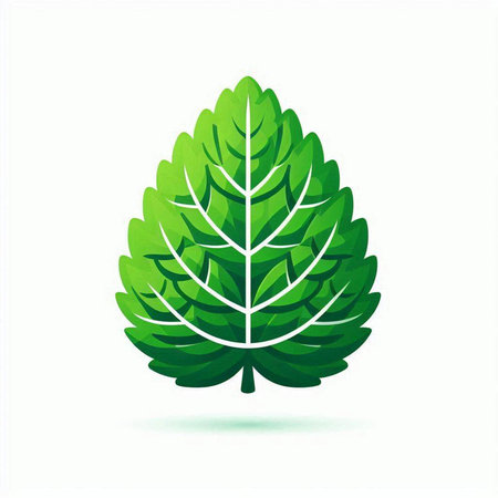 Ecology leaf icon. Vector illustration isolated on a white background.のイラスト素材
