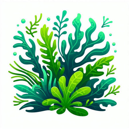 Green algae on white background. Vector illustration. Underwater world.のイラスト素材