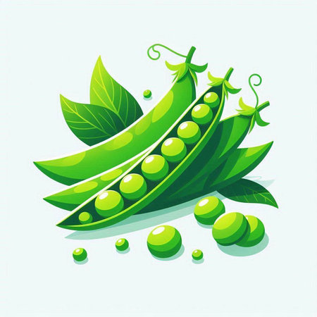 Peas with leaves and seeds on a light background. Vector illustration.のイラスト素材